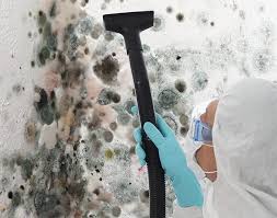 Biohazard Mold Removal in Talty, TX